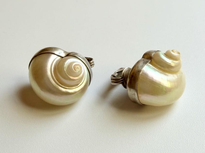 May include: Two iridescent seashell-shaped objects with silver metal accents. The shells have a spiral design and a pearlescent sheen. The objects are likely decorative or jewelry-related.