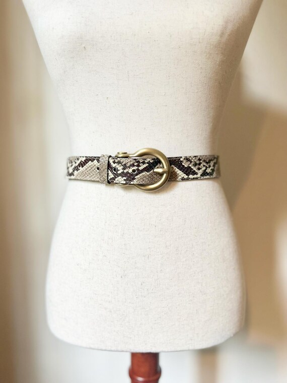 Vintage Burberry Python Belt With Gold Toned Buckle - Etsy