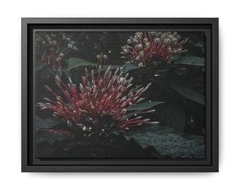 Starburst Bush - Matte Canvas, Framed