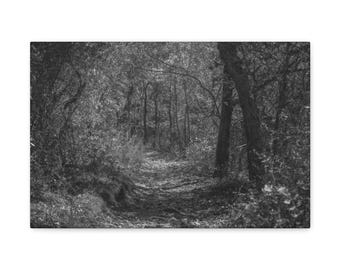 Serene Forest Canvas Gallery Wrap, Black and White Photography Wall Art, Nature Decor for Home, Gift for Nature Lovers, Rustic Wall Decor