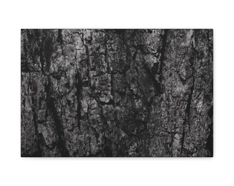 Tree Bark Black and White - Canvas Wrap