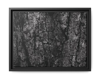 Tree Bark Black and White - Matte Canvas, Framed