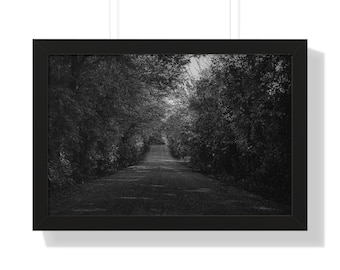 Wooded Country Road (B&W)