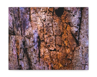 Tree Bark - Canvas. Wrap