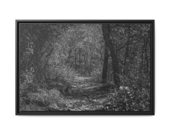 Serene Forest Path Framed Canvas Art, Tranquil Home Decor, Nature Wall Art, Gift for Nature Lovers, Perfect for Living Room