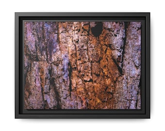 Tree Bark - Matte Canvas, Framed