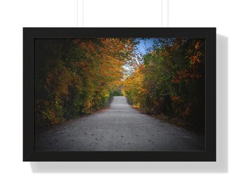 Wooded Country Road