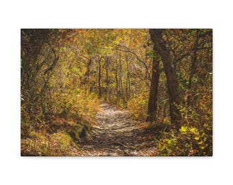 Autumn Path Canvas Gallery Wrap, Nature Wall Art, Rustic Home Decor, Fall Decor, Gallery Wall Art