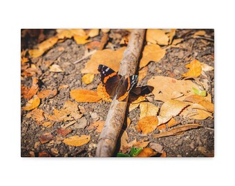 Nature-Inspired Wall Art Canvas, Botanical Gallery Wraps, Butterfly Decor, Home Aesthetic, Gift for Nature Lovers, Fall Decor