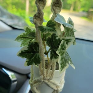 May include: A small, white potted plant with green and white leaves hangs from a cream-colored macrame plant hanger. The plant is suspended in front of a blurred green background, likely a car interior.