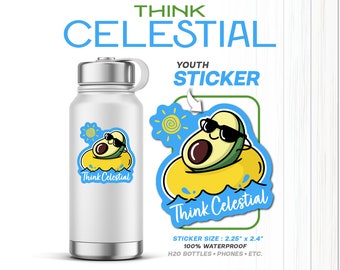 40 Stickers | Think Celestial | LDS Youth Theme Stickers | Bible & Book of Mormon | Water Bottle Sticker | Primary | CTR | Sunbeam | Prophet