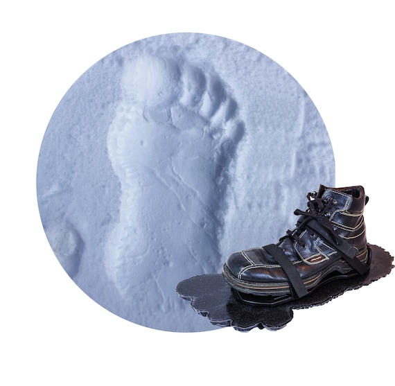 ビック フット BGS big foot in Original Fisher- Imaginext Big Foot The Monster T2742 for