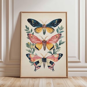 Moth Art Poster, Vintage Botanical Moth Print, Colorful Nature Wall Decor, Retro Insect Art, Floral Moth Artwork, Home Decor Poster