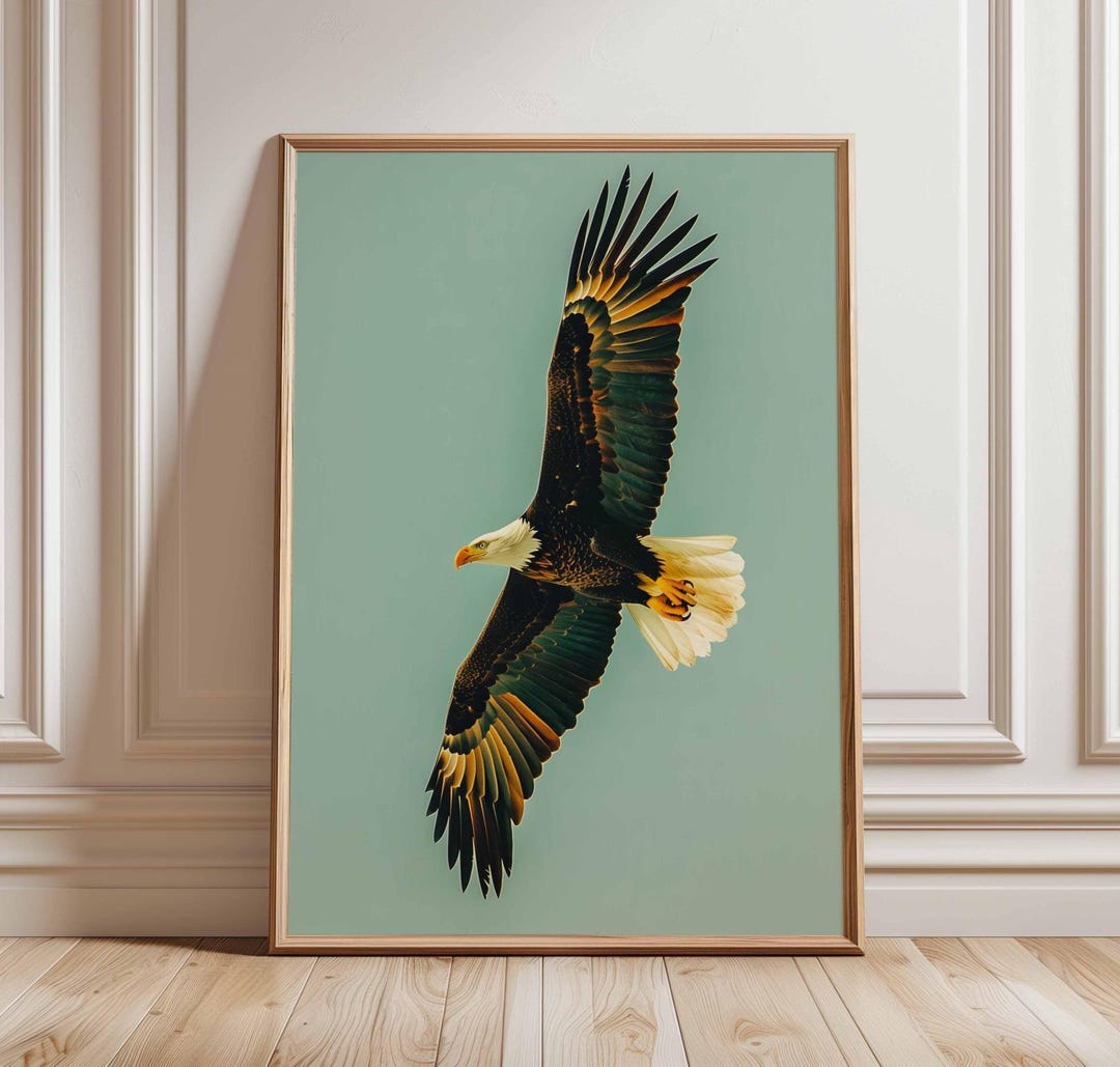 Soaring Eagle Wall Art Print, Bold Bird of Prey Poster, Modern Wildlife ...