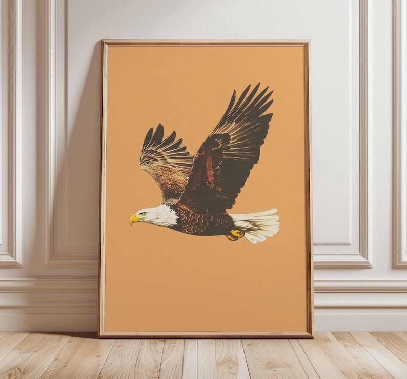 May include: Framed print featuring a bald eagle in flight. The eagle has brown and black feathers, a white head, and a yellow beak. The background is a solid orange color, and the frame is a light brown.