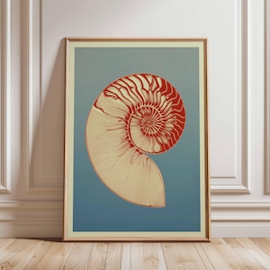 May include: Framed art print with a nautilus shell design. The artwork depicts a spiral shell in red and cream hues set against a blue gradient. The print is in a wooden frame, ideal for interior decoration, with measurements in cm.