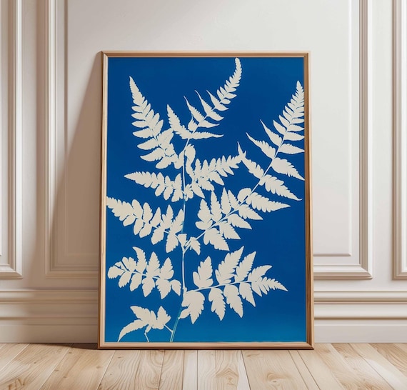fensterblatt klein Monstera 'Thai Constellation' kaufen