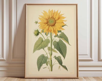 Vintage Sunflower Poster Print – Botanical Flower Wall Art, Classic Nature Illustration, Elegant Floral Artwork for Home and Living Room