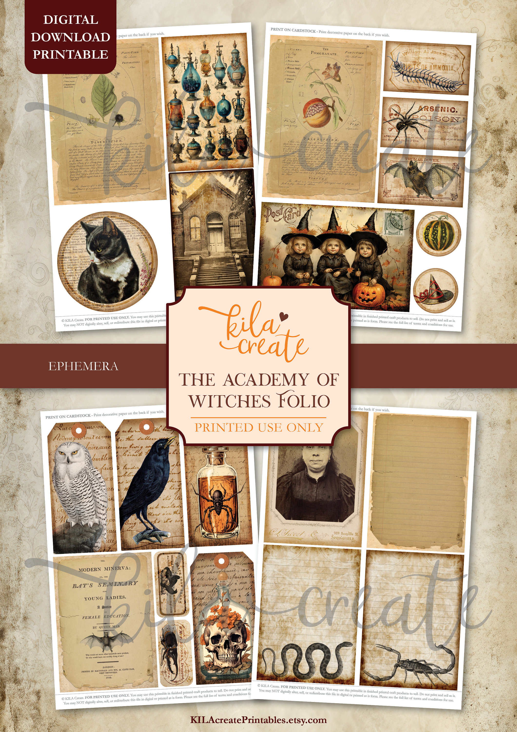 The Academy of Witches Folio, Vintage Gothic Junk Journal, Halloween ...