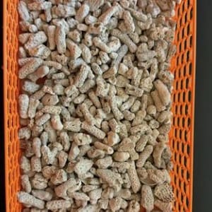 May include: An orange rectangular basket filled with numerous small, beige, cylindrical objects. The basket has a grid-like pattern, and the objects appear to be of a similar size and shape, filling the container.