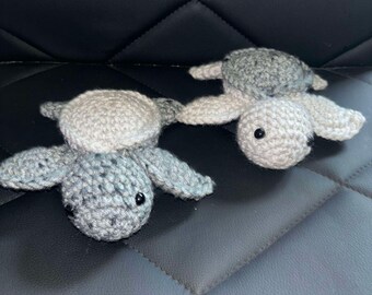 mini turtles