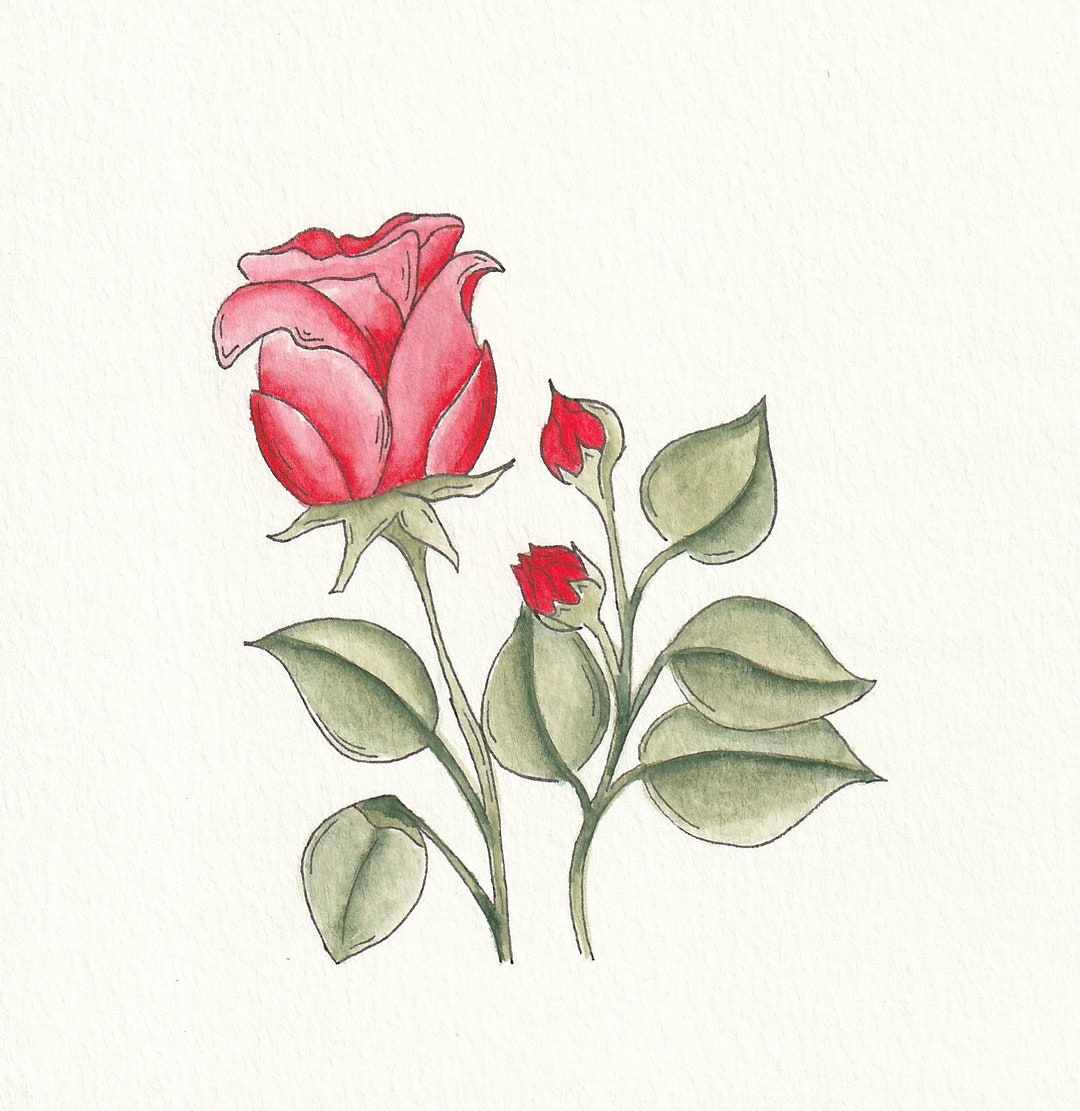 Rose June Birthday Flower Etsy Rose june birthday flower etsy