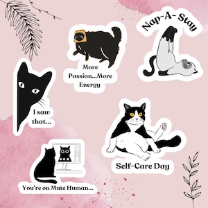Stickers chats en vinyle découpés, amusants et ludiques, pour des bouteilles d'eau, des ordinateurs portables, des agendas et plus encore !