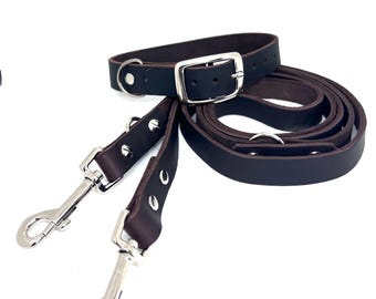 Bruine leren hondenriem en halsband set – Handgemaakte leren set voor honden – Robuuste, elegante en tijdloze, verstelbare leren halsband