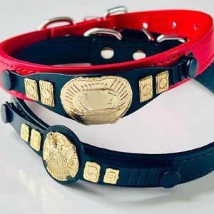 CHAMP BANDS- PET collars