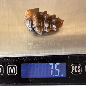 May include: A small, irregularly shaped, amber-colored stone rests on a digital scale. The scale displays a weight of 7.5 grams. The stone has a rough, textured surface and appears to be a natural mineral specimen.