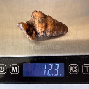 May include: A small, brown, textured object, possibly a food item, rests on a digital scale. The scale displays a weight of 12.3 grams. The scale is black with a silver weighing surface.