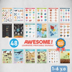 Póster de educación temprana para preescolar, imprimible, arte de pared, decoración de habitación de niños, Montessori, cuadro de pared para educación en el hogar, paquete de 48 carteles educativos
