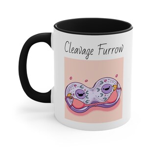 Cleavage Furrow Microbiology Coffee Mug, Biology Coffee Mug, Scientist Mug, Microbiologist Gift, Scientist Gift, Biology Funny Mug