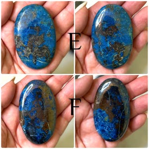 May include: Four polished, oval-shaped stones with a vibrant blue hue and intricate brown and gold veining. The stones are held in a hand, showcasing their natural beauty and unique patterns. Each stone has a glossy finish.
