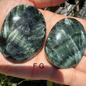 May include: Two oval-shaped, polished stones with a dark green color and a fibrous, textured pattern. The stones are held in a hand, and the letters "F G" are visible on the surface.