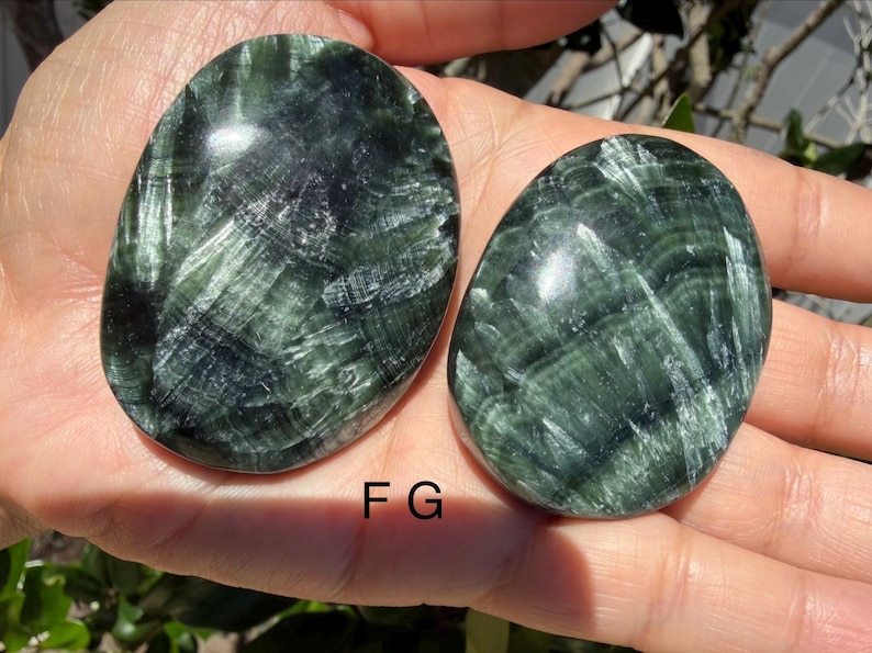 May include: Two oval-shaped, polished stones with a dark green color and a fibrous, textured pattern. The stones are held in a hand, and the letters "F G" are visible on the surface.