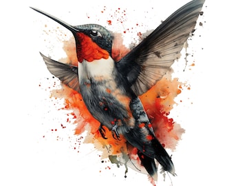 Vibrant Watercolor Hummingbird PNG Clipart: High-Res Digital Art (Digital Download)