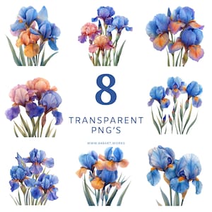 8 Watercolor Iris Clipart, Transparent PNGs, Iris bouquet, High resolution 4096x4096 300 dpi, Digital download