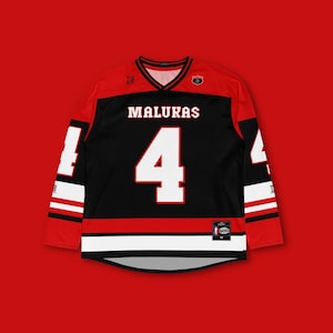 David Malukas Indycar Hockey Jersey: A.J. Foyt Racing #4