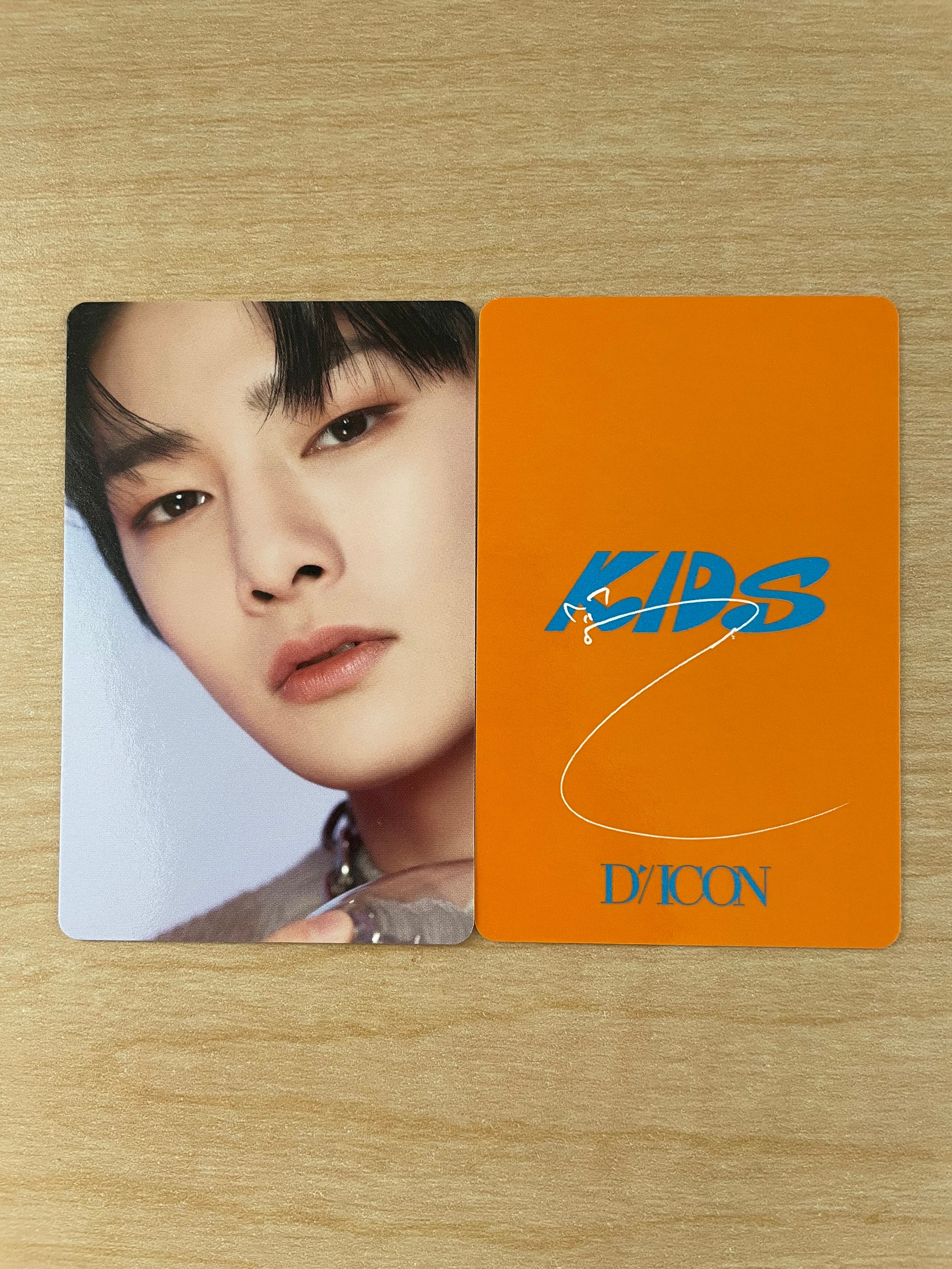 Official Stray Kids Dicon Dfesta Photocards I.N. - Etsy