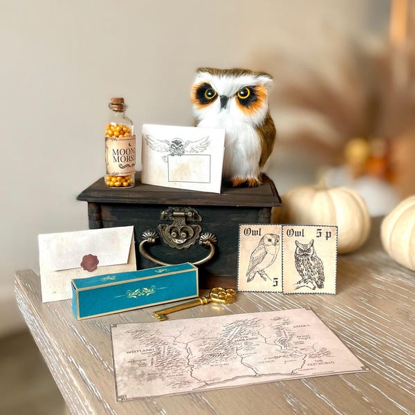 Kit de adopción de búho mágico / regalo de cumpleaños para niños / regalo de fantasía para fanáticos de la escuela de magos / réplica coleccionable de bruja y mago