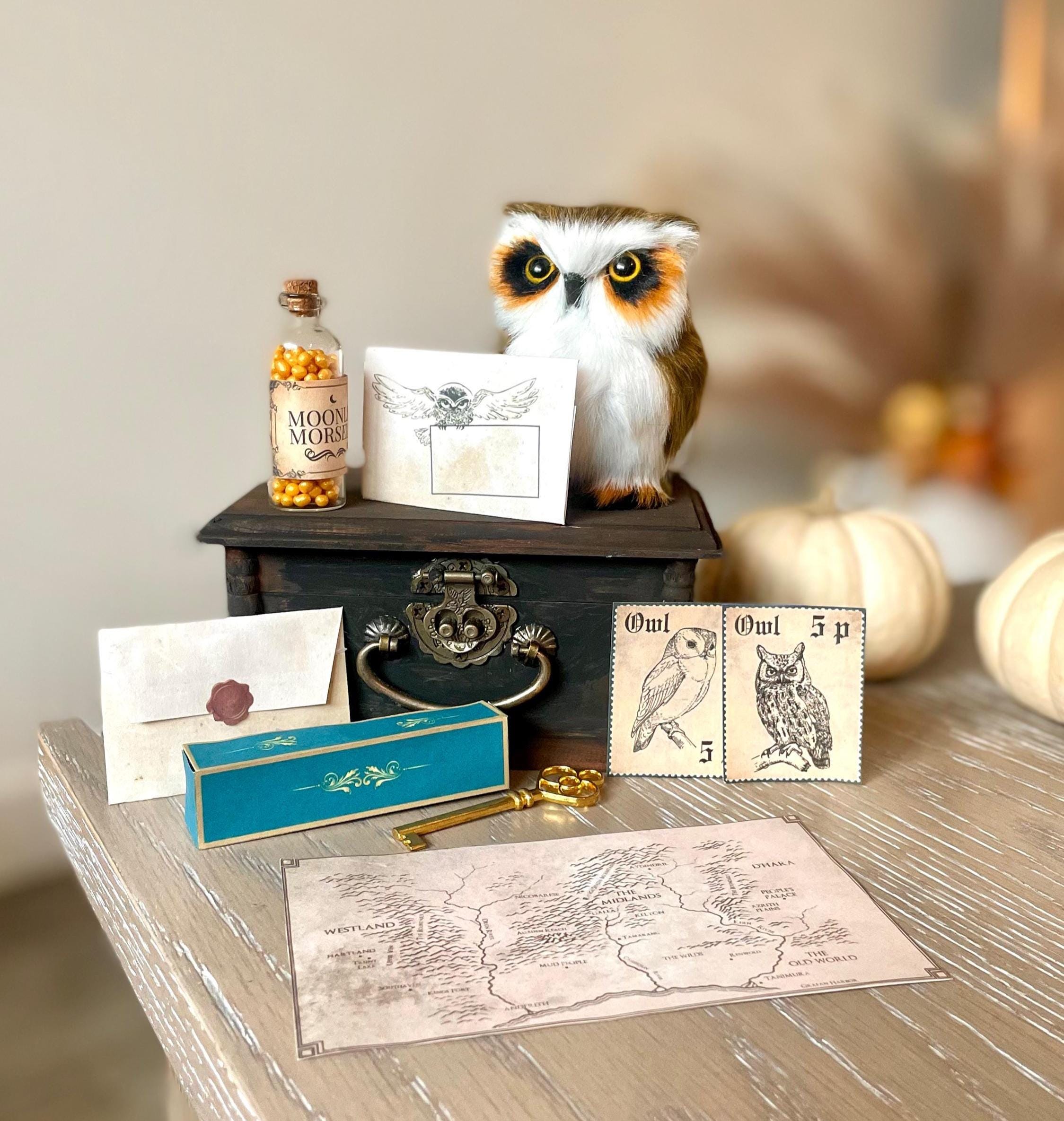Magical Owl Adoption Kit | kids birthday gift present | Fantasy Gift for Wizard School Fans | Witch 
