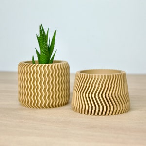 May include: Two beige, wavy, cylindrical planters. One planter has a small green succulent plant inside.