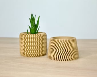 May include: Two beige, wavy, cylindrical planters. One planter has a small green succulent plant inside.
