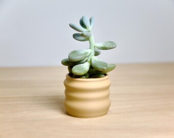 Sculpted Modern Organic Planter - Stylish Bioplastic/Eco-Friendly Indoor Pot - Elegant Natural Beige Planter -Minimalist Succulent Holder