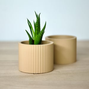 May include: Two beige cylindrical planters with a ribbed texture. One planter has a small green succulent plant inside.