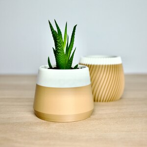 Könnte beinhalten: Zwei kleine, beige und weiße Keramik-Blumentöpfe. Ein Topf hat ein strukturiertes, spiralförmiges Design und der andere hat ein glattes, abgerundetes Design. Eine kleine grüne Sukkulente wächst im glatten Topf.