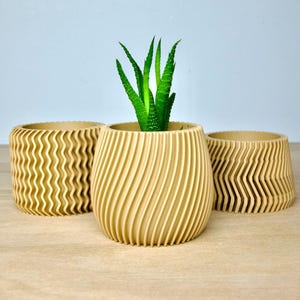 Aztec Succulent Pots Set (3x) - Aesthetic Lightweight Succulent Planters - Cute Beige Plant Pots With Drainage - Indoor Cactus Planters Gift