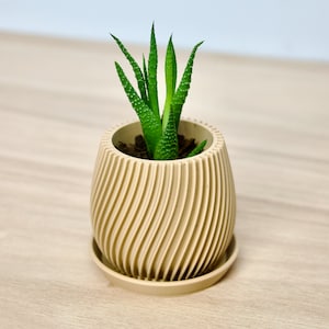 Mid-Century Oceanside Indoor Plant Pot - Coastal Ocean-Inspired Succulent Planter - Aesthetic Modern Cactus Planter - Cute Pot With Drainage