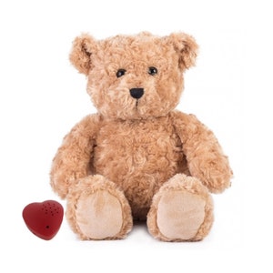 May include: A light brown teddy bear with a curly fur texture, sitting upright. The bear has a black nose and eyes. A small, red heart-shaped device with speaker holes sits to the left of the bear.